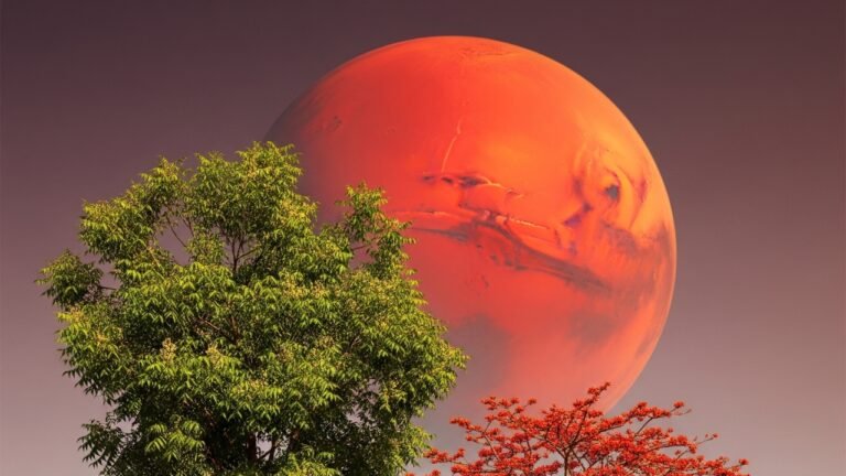 मंगळ ग्रह आणि खैर वृक्ष: 